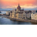 Hungarian Mob Alliance