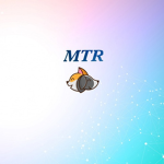 ######### toy review