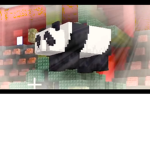 Amazing pandas poo
