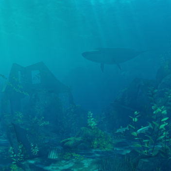 Under the Sea