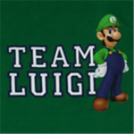 TEAM LUIGI
