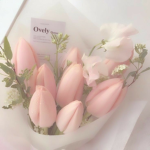 pink..coconutx