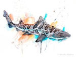 Leopard Shark Skate Crew