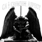 CA | CRIMSON ASPECT