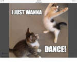 CATNIP