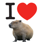 capybara fancIub