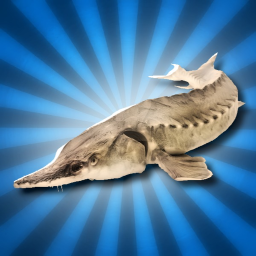 A Game About Sturgeons