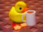 Duck and juice group!