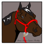Briar Ridge Equestrian Center