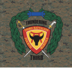 '3rd Battalion, 4th Marine Regiment'