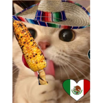 Tamalitos uwu