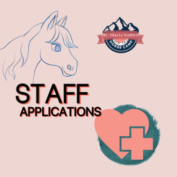 MSS Staff Applications