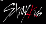 stray kids français
