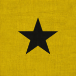 Yellow Federation Armed Forces