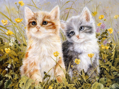 Cute Photo Frame