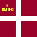 •6. Batteri•
