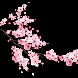 ♡⸝⸝