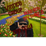 VINTICO GROUP