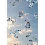Buterfly gruppe