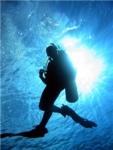 L&L Scuba Diving Crew.