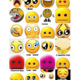play dis game
