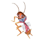 roach cult