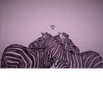 ~The Zebra Herd~