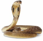 Serpent_Studios