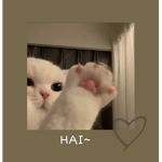 Cute Players Only