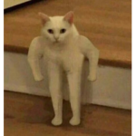 Robux OJO