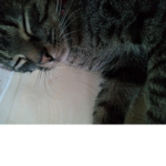 Kitty Arlin1love group<3
