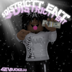 $DISTRICTT ENT