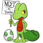 The True Pokemon Fan Club
