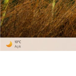 TÜRKEY VS AMERİCAN (BETA) icon