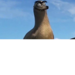 the chill seal squad