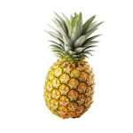 Pineapples Games