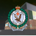 NSW police force PF