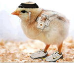 Sammyssquad