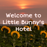 Little bunny hotels