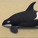 Build an Aquarium! icon