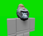 Snipe Studio