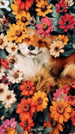 FoxFriends1234