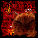 Bob's psychological degradation