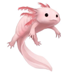Axolotl Appreciation Club