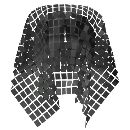Grey Curtain Bangs Hair + Veil