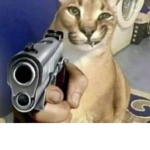 :CREEPY AIMBOTS ONLY:/ jk join if u like cats.