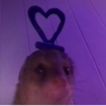 30kVibxz
