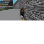 Diorsimp