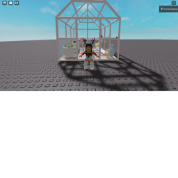 hangout