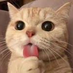 친구없이생김